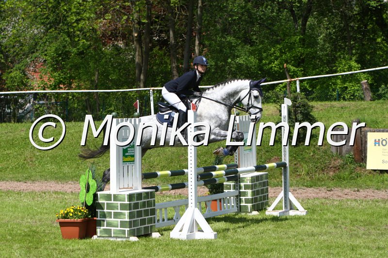 005M4833_Diamond Dancer_Stil A.JPG